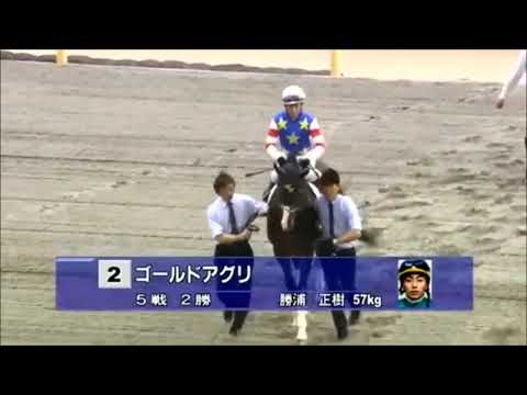 第７４回　東京優駿（日本ダービー）　本馬場入場　2007.5.27　　出走予定馬：ウオッカ、アサクサキングス、アドマイヤオーラ、ドリームジャーニー、フサイチホウオー、 ローレルゲレイロ他