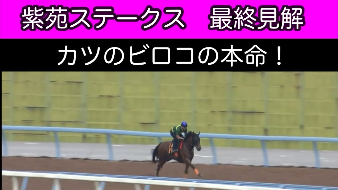【2023紫苑ステークス】最終予想　秋華賞出走をかけた戦いにメイチのし仕上げは。