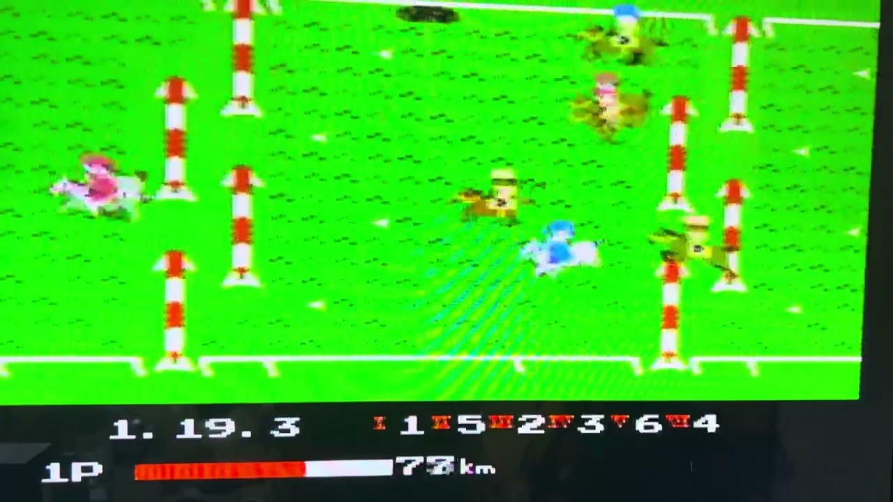 有馬記念　インターラプター　1着              ピノエース　2着