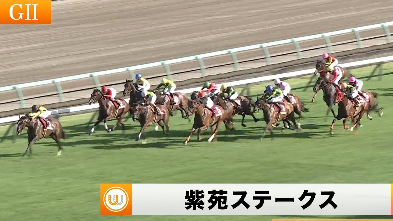 【2023】紫苑ステークス 中山競馬場11R ｜ウイニング競馬 2023年9月9日（土）
