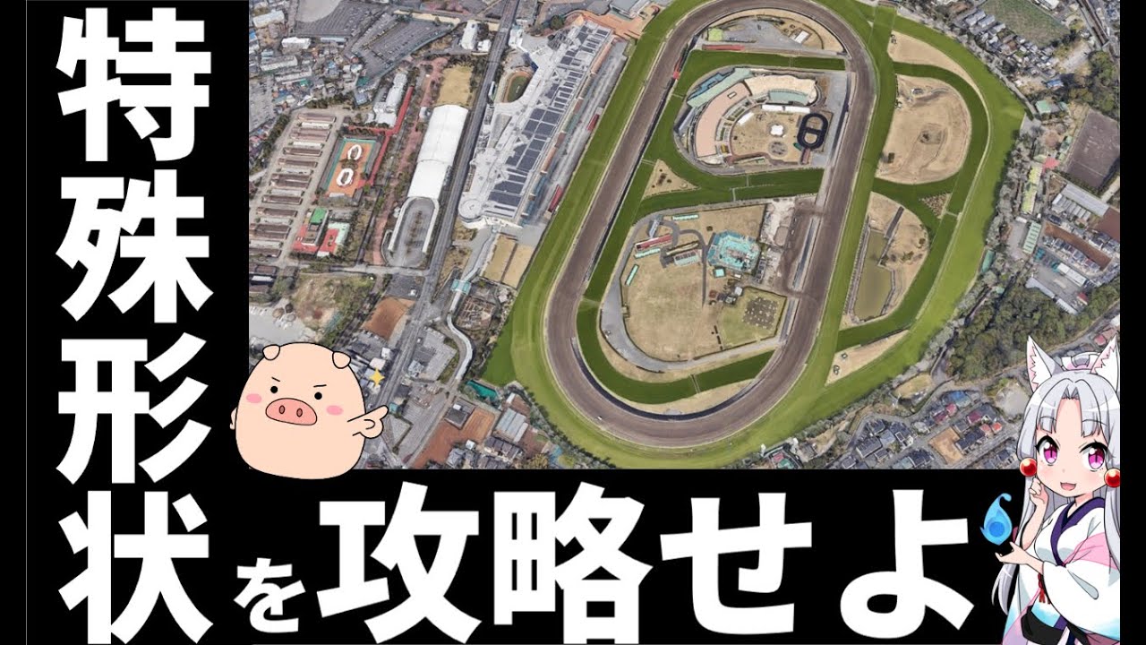 中山競馬場の上級者向けコース解説、馬券戦術