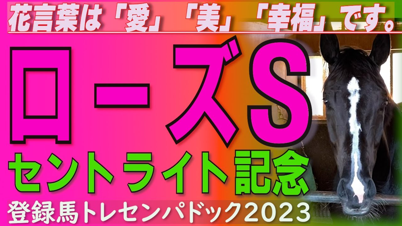 「愛」と「美」と「幸福」を射止めるのはどの馬か！？秋華賞の最重要トライアル戦。  /  ローズS(GⅡ)阪神   菊花賞トライアル。/   セントライト記念(GⅡ)中山　登録馬トレセンパドック2023