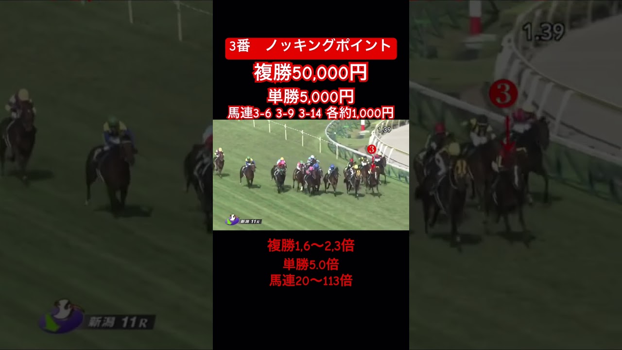 #94【2023新潟記念】【総額69,000円全ツ】7番人気馬突っ込んで来てアイキャンスマイル❓😊#shorts