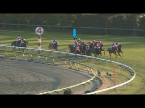 【テイエムオペラオー】 有馬記念 2000年12月24日（和田竜二騎手） 「残り310ｍしかありません！」