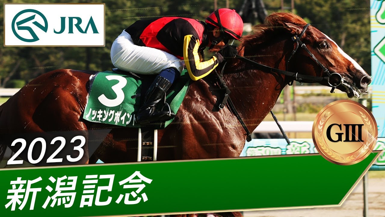 2023年 新潟記念（GⅢ） | ノッキングポイント | JRA公式