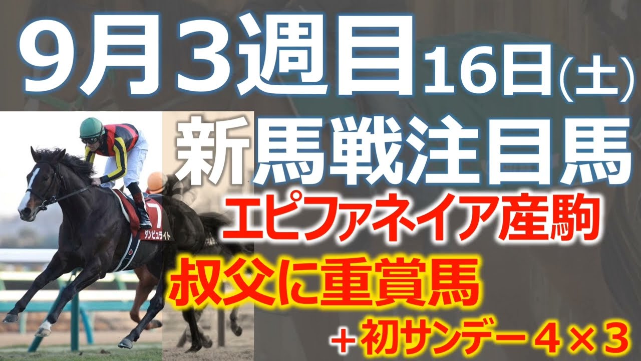 【注目新馬】叔父にダンビュライト＋初サンデー４×３「マーシャルポイント」母ダートで活躍も母系は芝重賞馬多数で期待☆