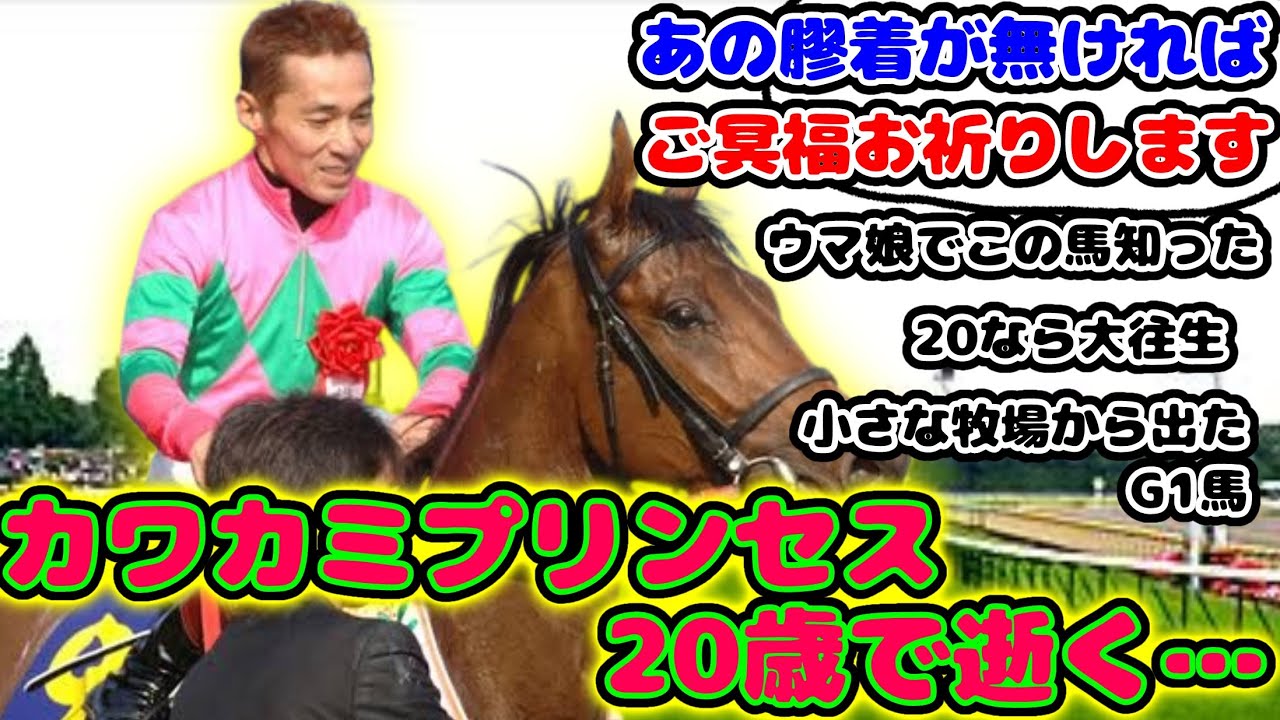 【競馬】カワカミプリンセス 20歳で逝く…【競馬の反応集】