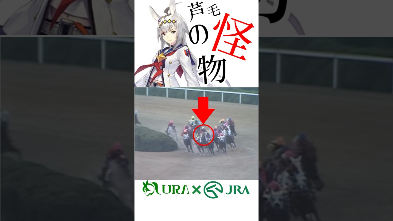 【名馬の走り】ウマ娘好きにも見て欲しい！ #オグリキャップ #マイルチャンピオンシップ #ウマ娘 #競馬 #杉本清