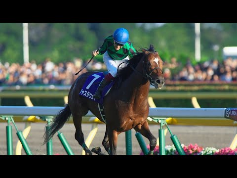 第１４８回　天皇賞（秋）（ＧⅠ）　ジャスタウェイ　牡４　58　福永祐一　2013.10.27　　出走馬：ジェンティルドンナ 、エイシンフラッシュ、 アンコイルド、コディーノ、ナカヤマナイト他