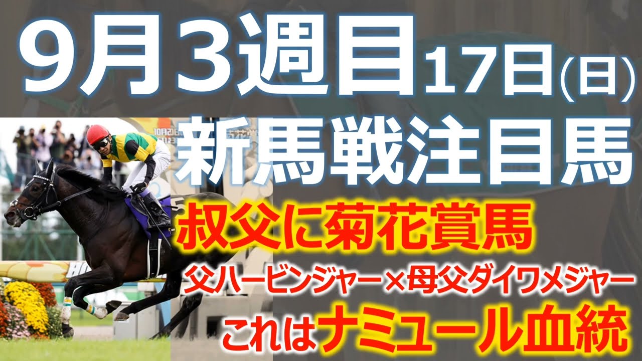 【注目新馬】叔父に菊花賞馬、配合はナミュール血統「グシュタッドパレス 」G1馬輩出の母系＋ナミュール血統は初戦から注目☆