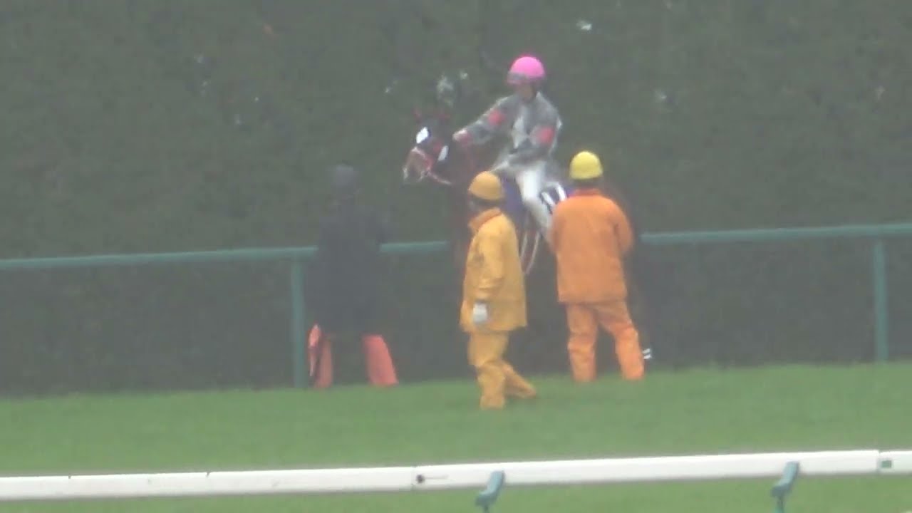【高松宮記念2023】全頭の本馬場入場とボンボヤージ厩務員が来るまで動かない  現地映像