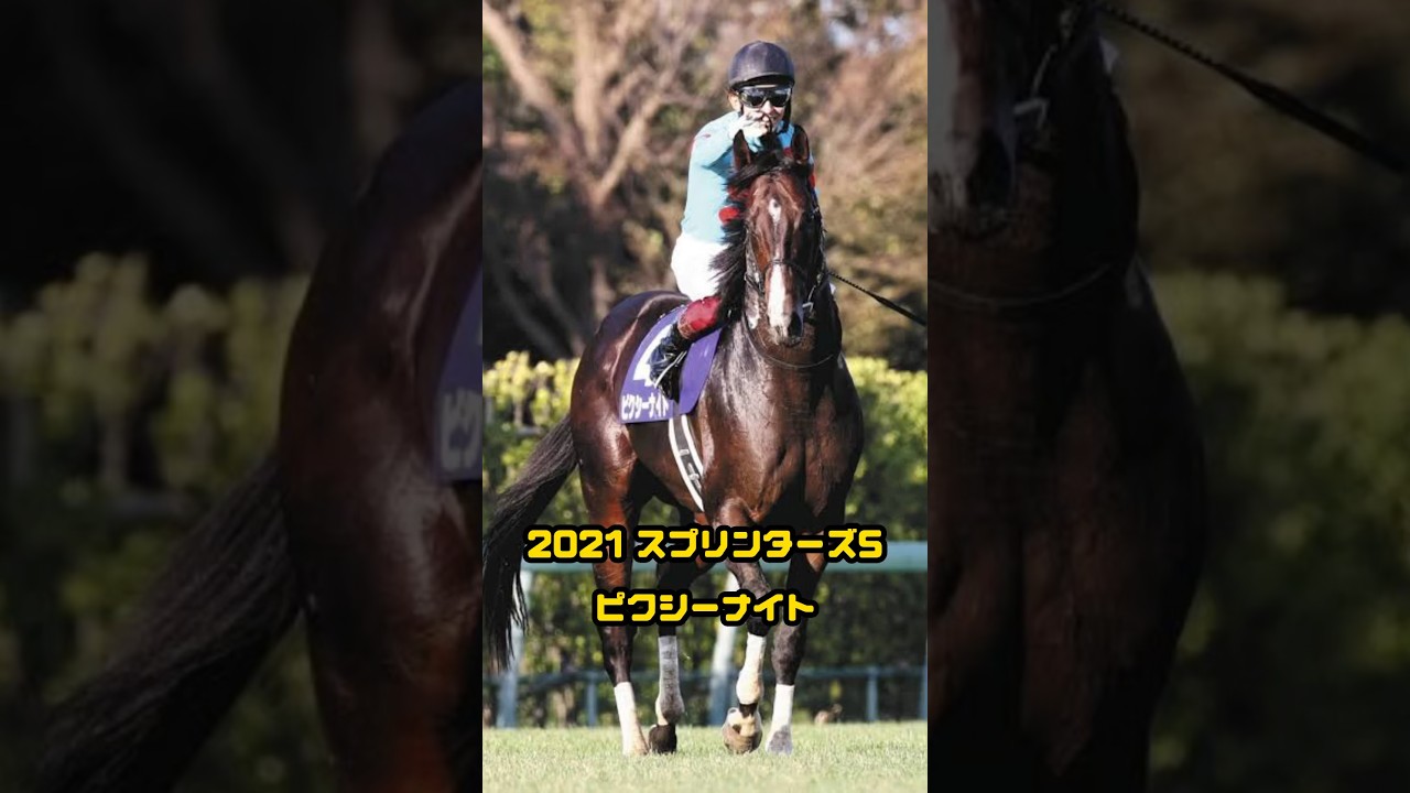 『2021スプリンターズSピクシーナイト』 #競馬 #ピクシーナイト #スプリンターズステークス #スプリンターズステークス2021 #スプリンターズS #g1 #セントウルs