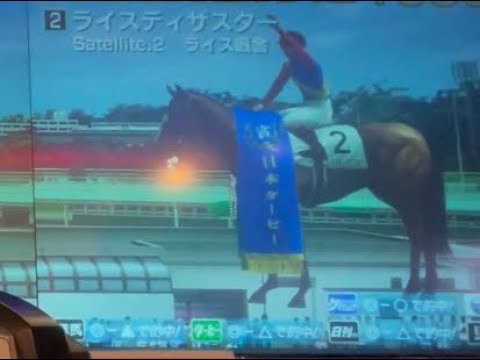 【スターホース２】新SS馬誕生、今度こそ【メダルゲーム】