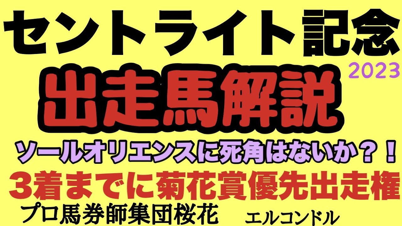 プロ馬券師集団桜花エルコンドル氏のセントライト記念2023出走馬解説！ソールオリエンスが出走してくるがここでは能力上位！集まったメンバーはなかなか将来楽しみな有望株な馬が揃い好レースになるのでは！