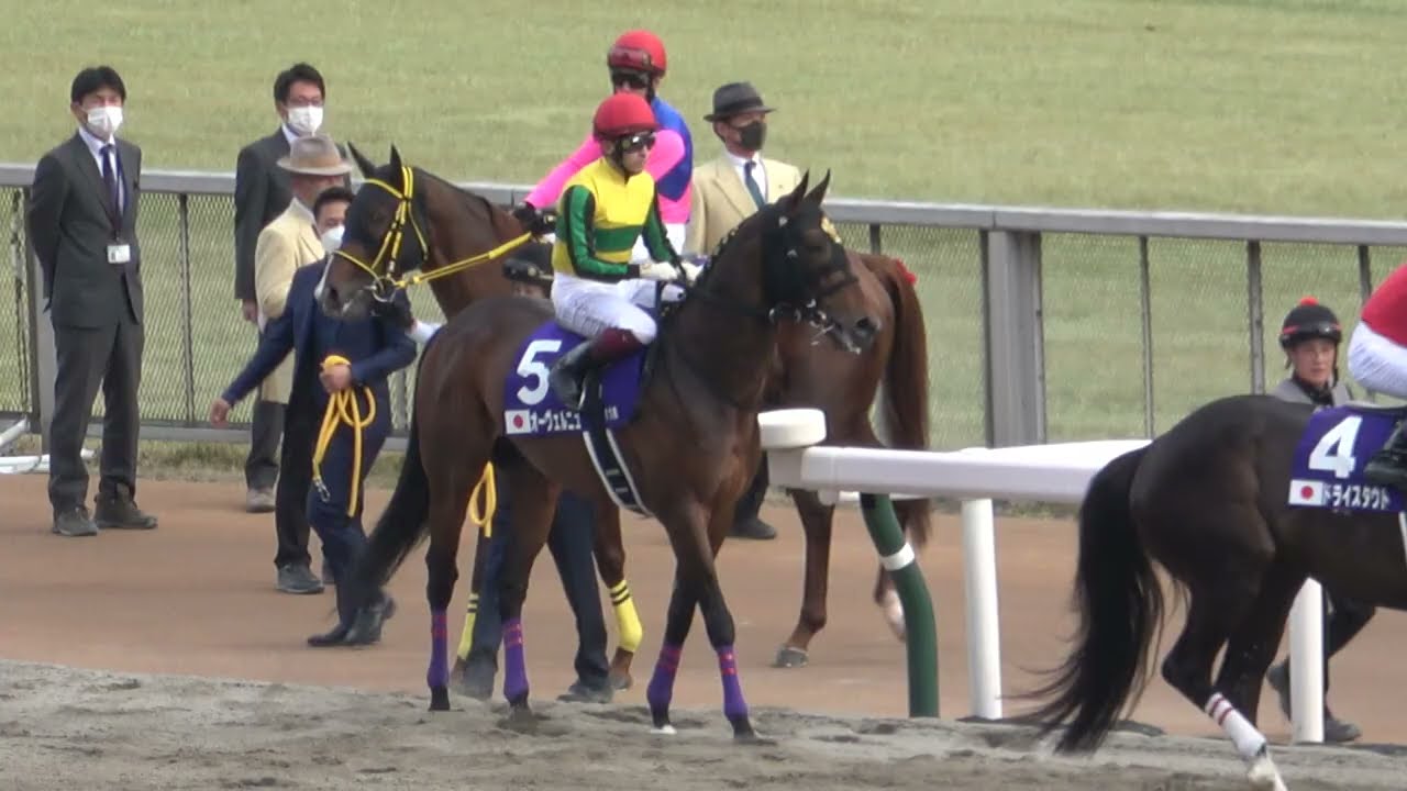 【フェブラリーステークス2023】本馬場入場 現地映像 レモンポップ