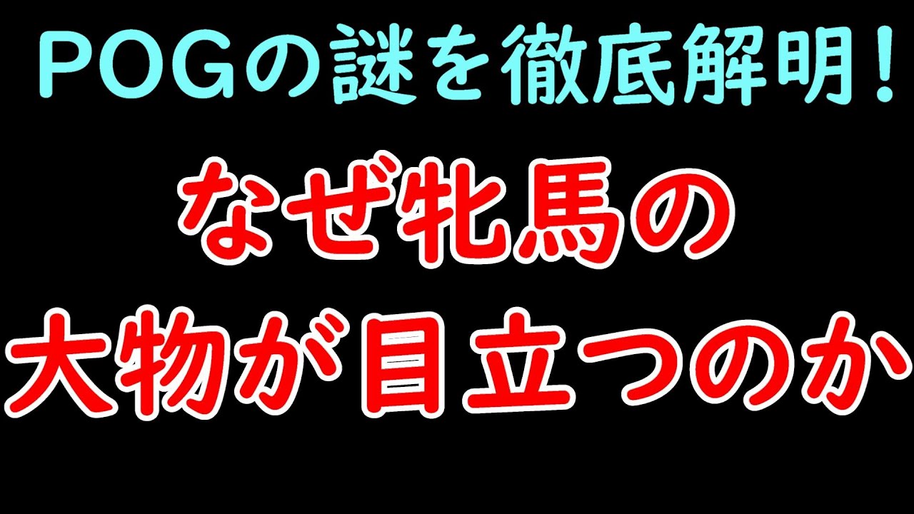 なぜPOGでは牝馬の大物が目立つのか？ POGの謎を徹底解明！【POG23-24】
