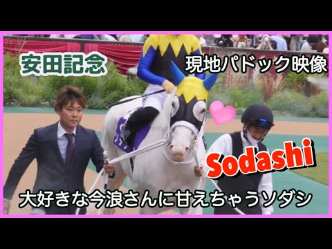 安田記念　今浪さんとソダシのパドック