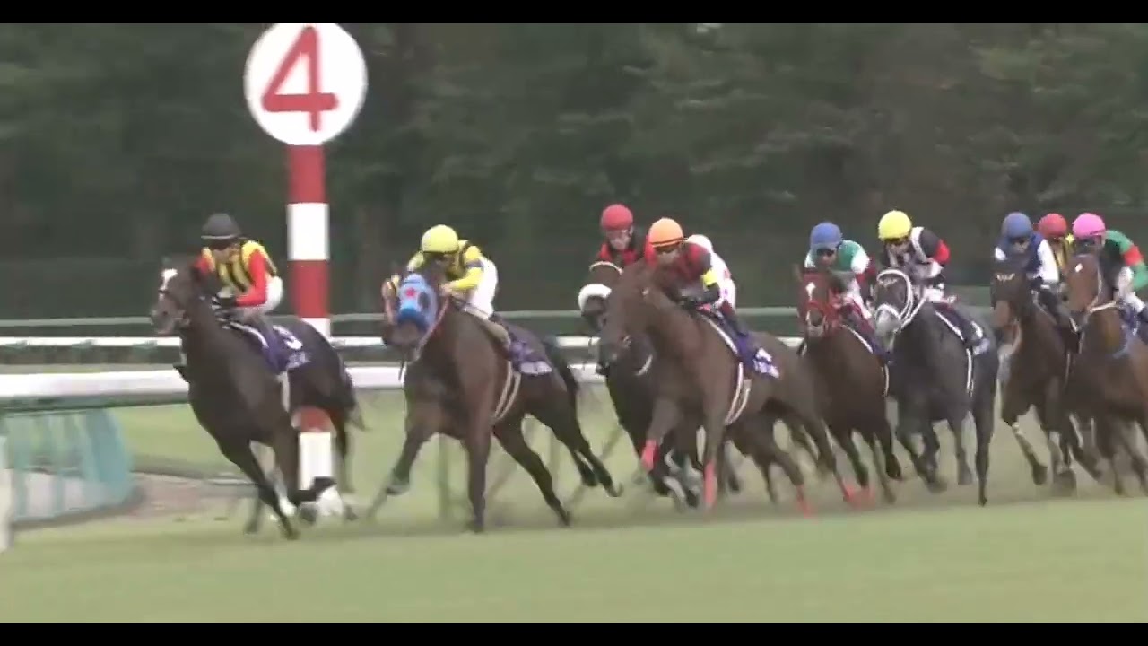 カレンチャン 2011年 第45回スプリンターズステークス(GI) (優勝馬：カレンチャン) (実況：ラジオNIKKEI)