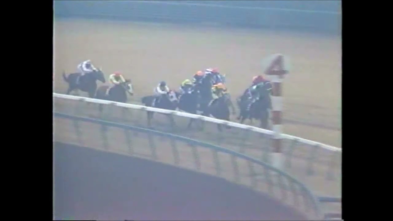 第30回　有馬記念（グランプリ） （ＧⅠ）　シンボリルドルフ　1985.12.22　　出走馬：ミホシンザン、スダホーク、ギャロップダイナ、ニシノライデン、ハーバークラウン　　実況：盛山毅
