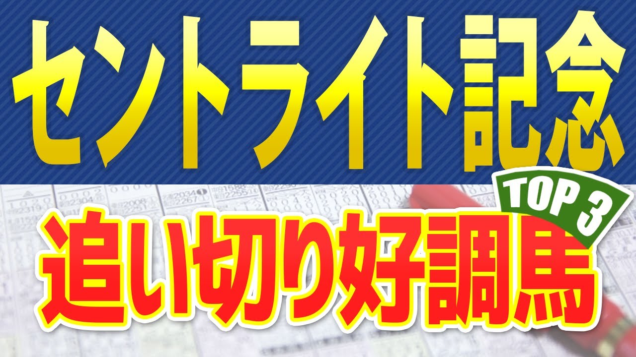 【セントライト記念2023】追い切り・調教が好調だった「トップ3」はこの馬だ🐴 ～JRA朝日杯の馬体診断や競馬予想シュミレーション～ 菊花賞トライアル