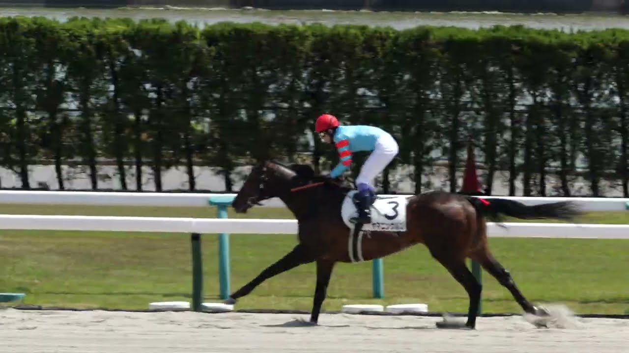【武豊】これは強い！ヤマニンウルス！休養明けプラス24キロも6馬身差の圧勝！