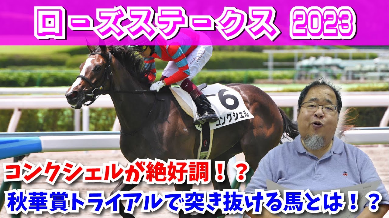 【ローズステークス2023 競馬予想】コンクシェルが絶好調！？秋華賞トライアルで注目馬はこれだ！！