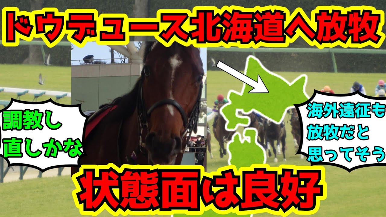 【競馬】ドウデュースは北海道で放牧へ！ネットの反応