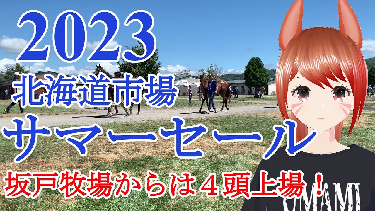 2023 北海道市場 サマーセールに潜入！坂戸牧場からは４頭上場！