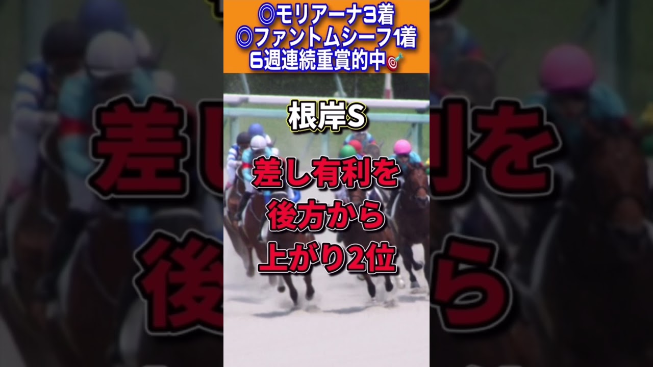 【フェブラリーステークス2023】30秒でわかるケンシンコウ