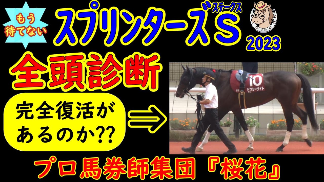 もう待てない！スプリンターズステークス2023二週間前レース競馬予想全頭診断！秋Ｇ１開幕となる2週間後が待ち遠し過ぎる皆様へプロ馬券師集団桜花が最速で出走登録馬の評価をしました！