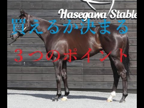スプリンターズステークス 2023 ナムラクレアを買うなら絶対見ろ！！悲願のG１制覇に必要なポイント