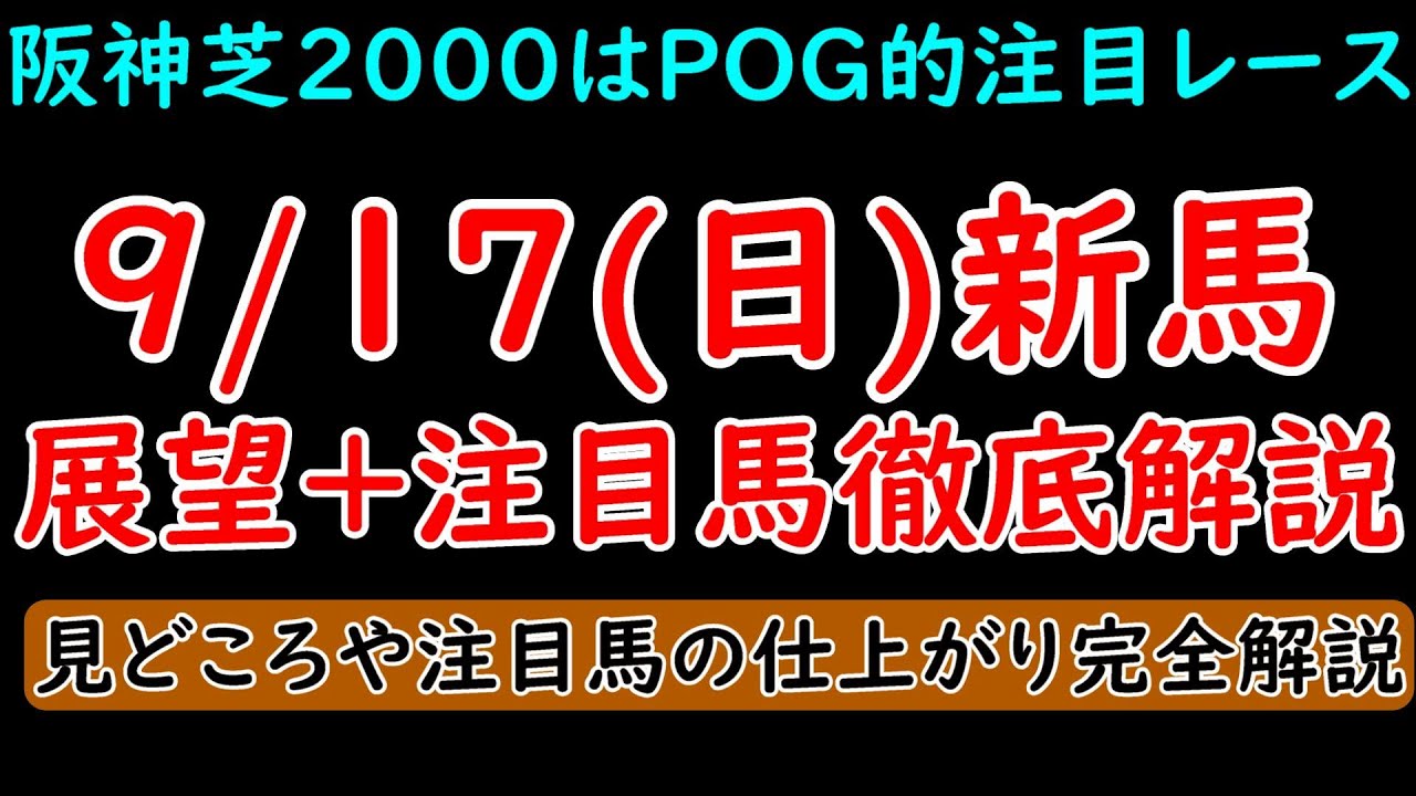 9/17(日)新馬戦展望+注目馬解説 阪神芝2000はPOG的に注目のレースか！？【POG23-24】