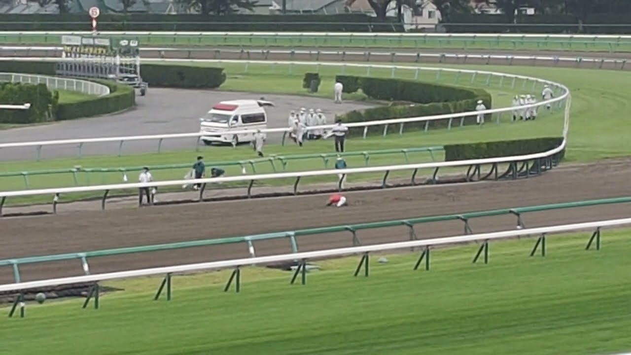 2023/9/9 中山競馬第1R 障害未勝利現地観戦（最後の直線で落馬）