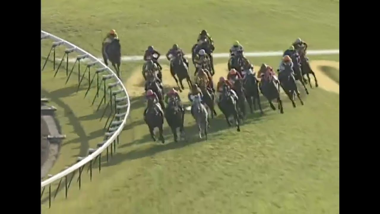 カワカミプリンセス 2006年 第11回秋華賞(GI) (優勝馬：カワカミプリンセス) (実況：ラジオNIKKEI)