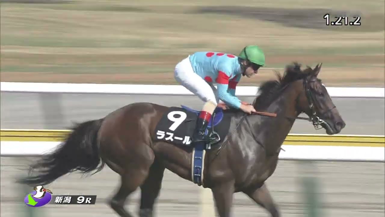 2023 09 03 新潟9R 飯豊特別 ラスール(C.ルメール)