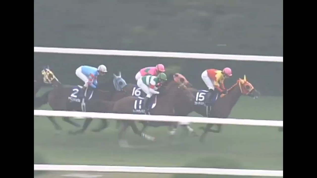 カワカミプリンセス 2006年 第31回エリザベス女王杯(GI) (優勝馬：フサイチパンドラ) (実況：ラジオNIKKEI)