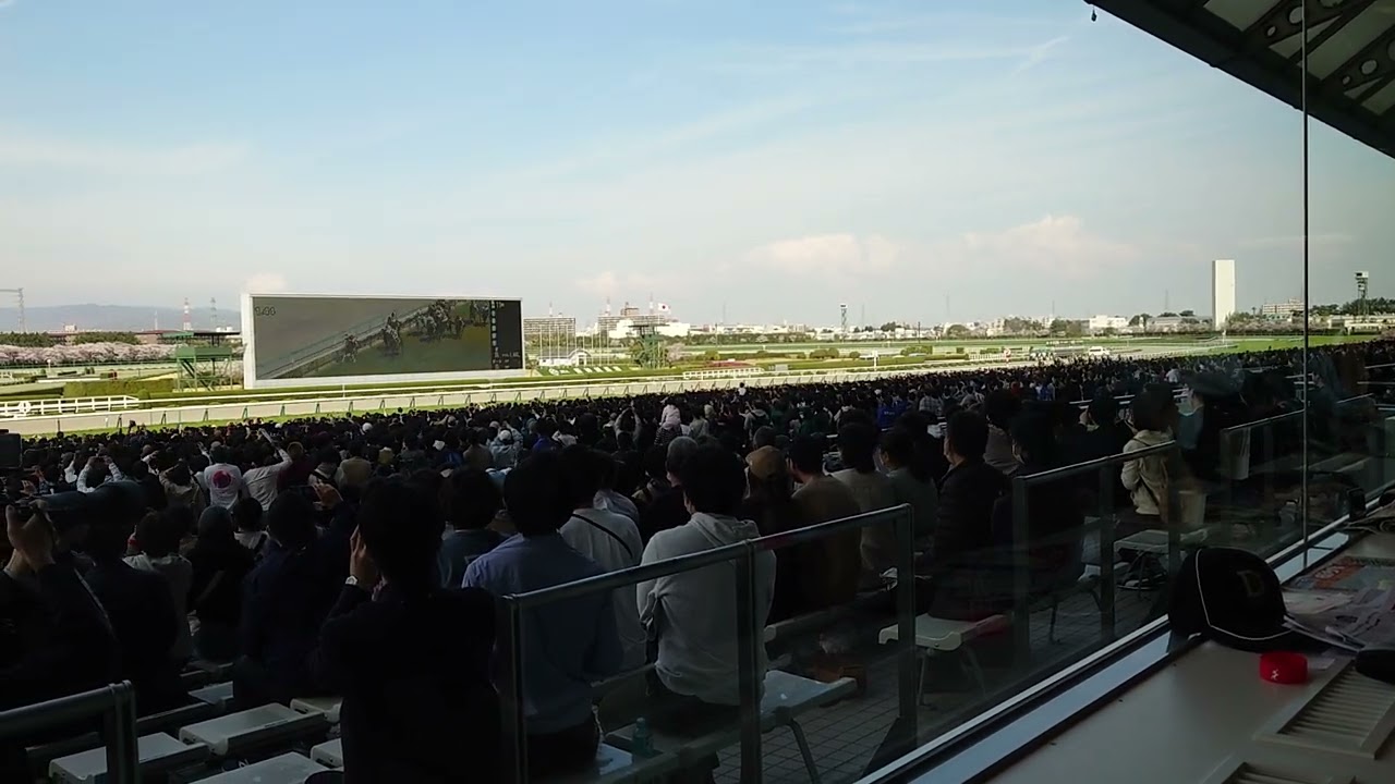 2023年4月2日大阪杯。おめでとうジャックドール。ついにG1馬に！！撮影Xperia1 II 座席2階西56-ア