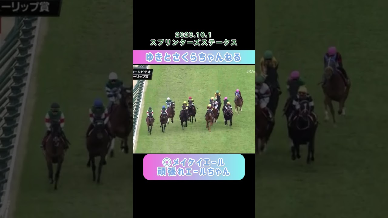 エールちゃん頑張れ！2023スプリンターズステークス