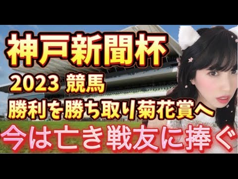 神戸新聞杯2023 菊花賞へ