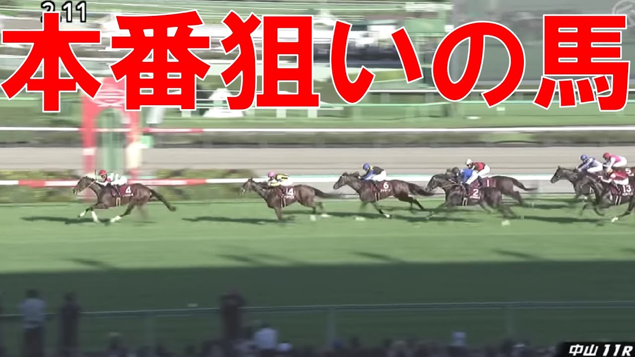 セントライト記念　ローズステークス 回顧  2023　菊花賞・秋華賞で狙いたい馬