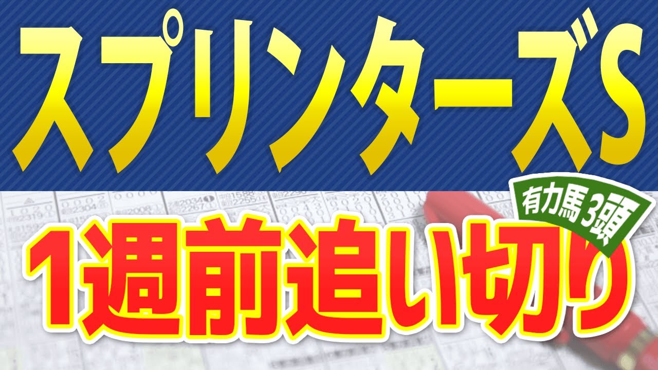 【スプリンターズステークス2023】1週前追い切りが高評価だった3頭をピックアップ🐴 ～JRAスプリンターズS競馬予想～