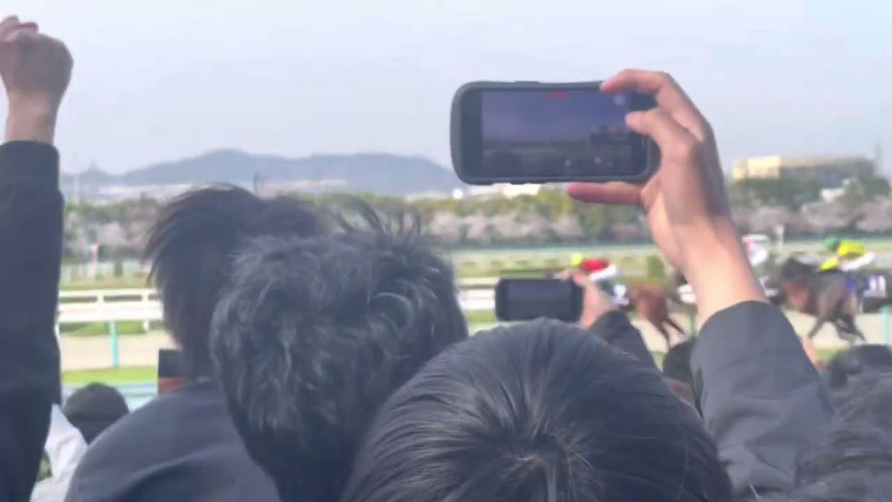 4月2日(日)阪神競馬場大阪杯行ってきた！