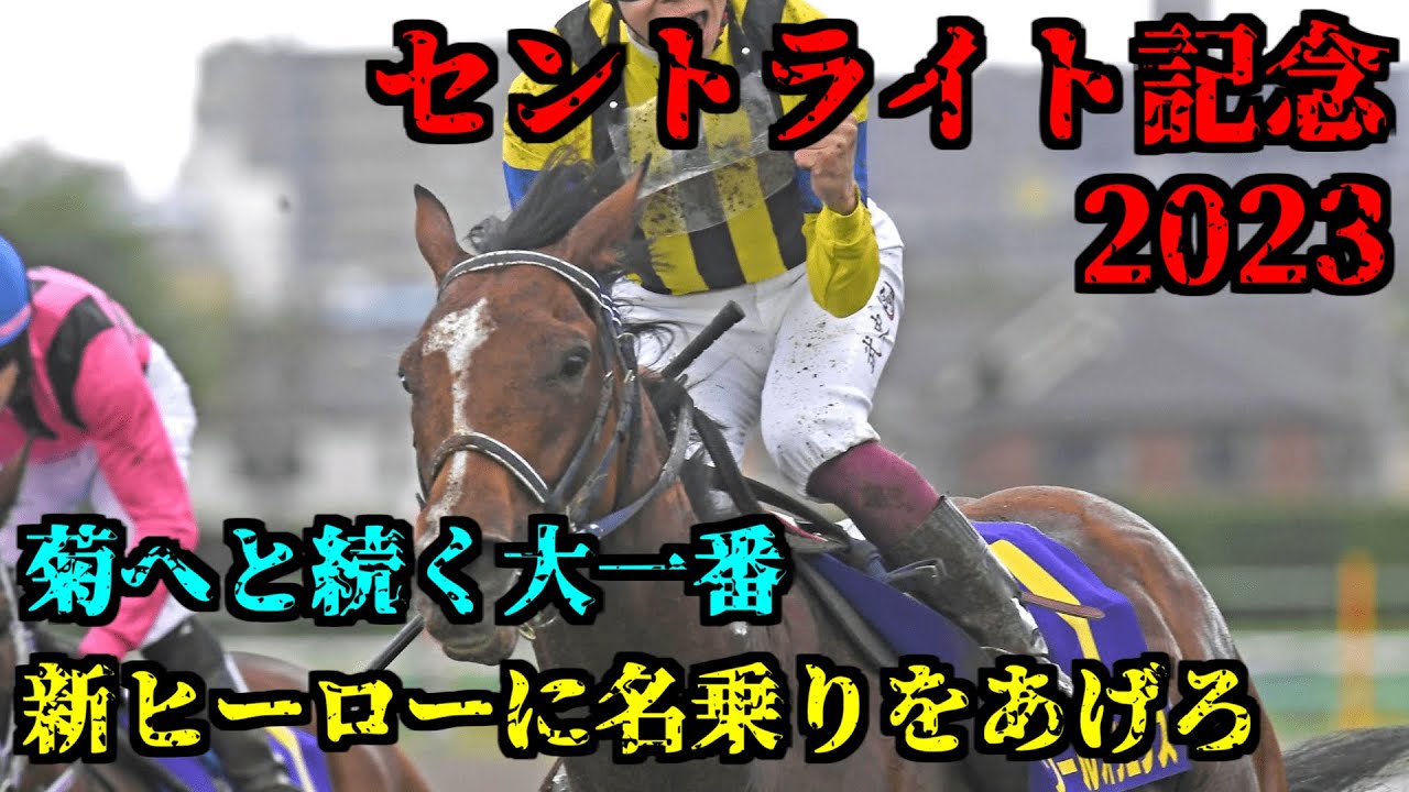 【セントライト記念2023予想】クラシック前哨戦でアレする【友情三連単】