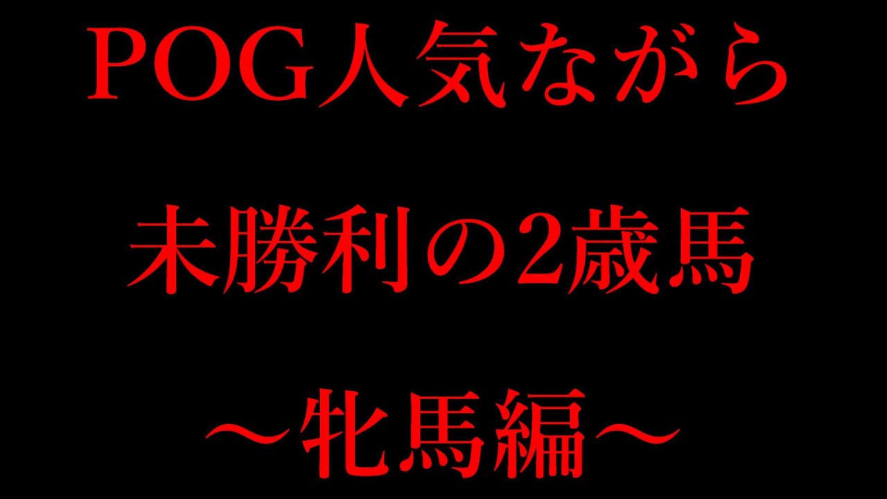 POG人気ながら未勝利の2歳馬～牝馬編～ サフィラなど3頭紹介【POG23-24】