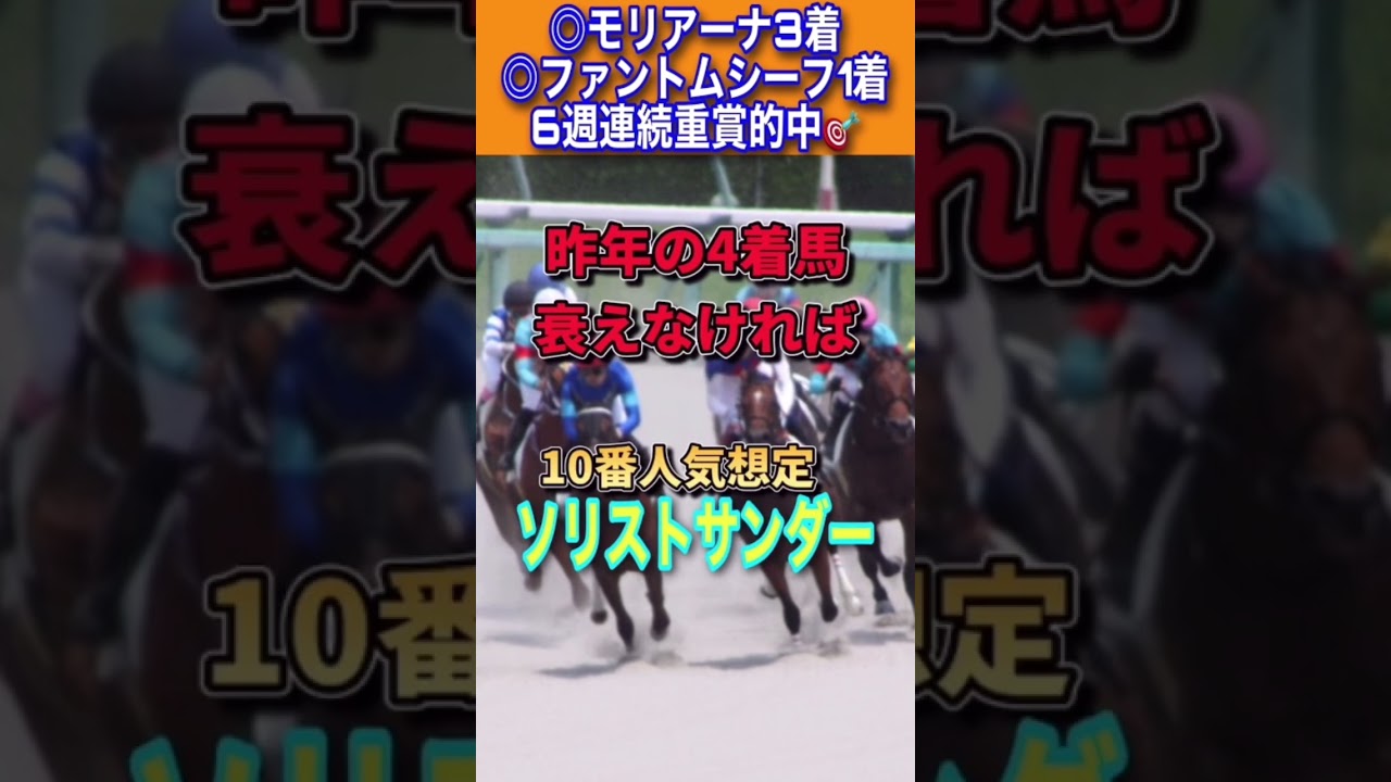 【フェブラリーステークス2023厳選穴馬1頭】