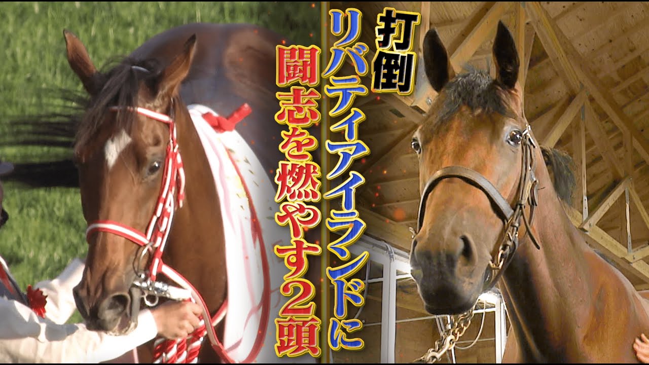 【ローズS】”リバティアイランド”に勝った馬が成長ぶりを見せる！3歳牝馬路線に新星現る！打倒女王の最右翼なるか⁉