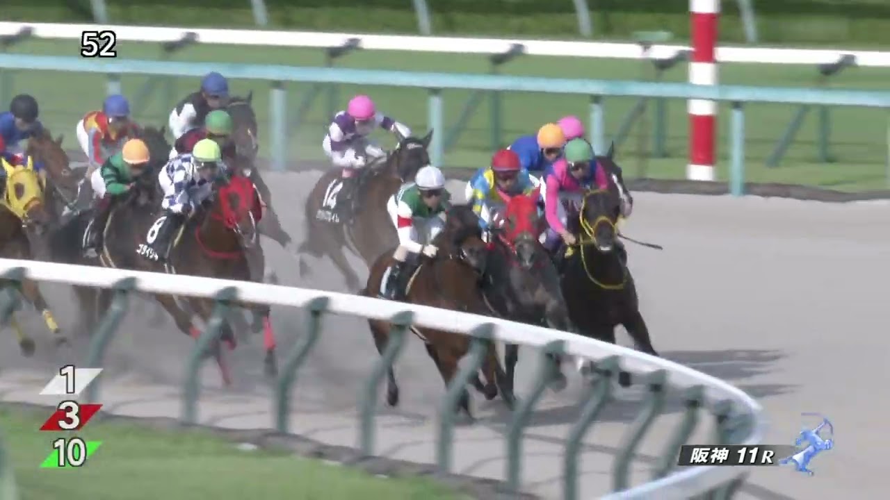 2023 09 23 阪神11R 大阪スポーツ杯 サンライズフレイム(藤岡康太)