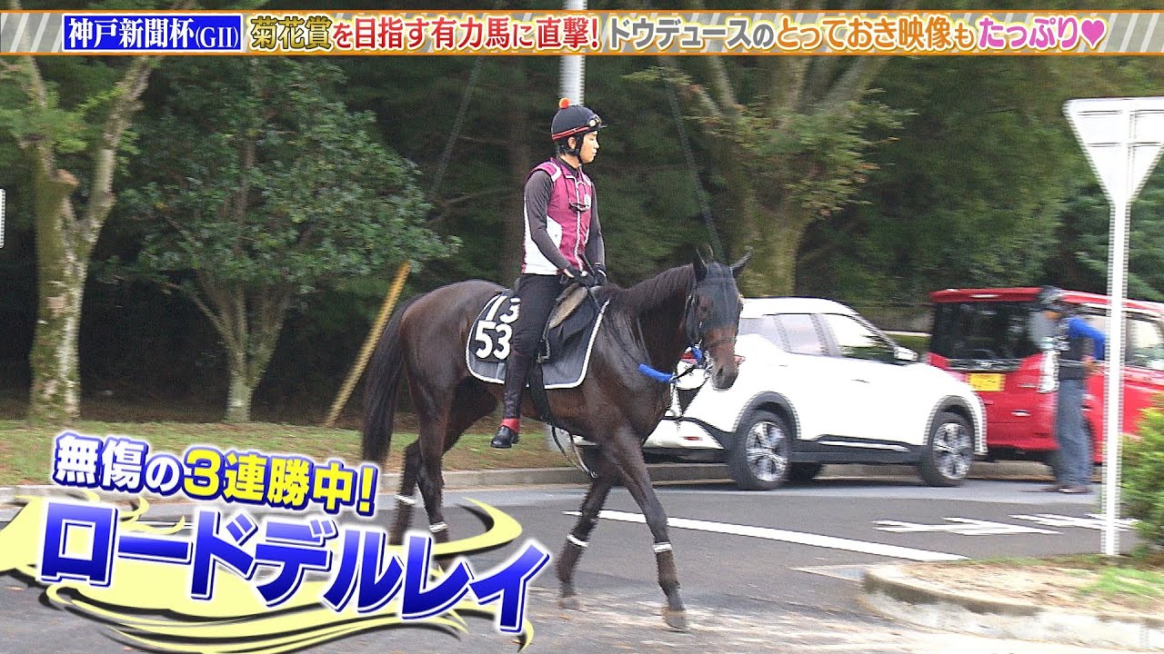 【神戸新聞杯】菊花賞を目指す有力馬に直撃！ドウデュースのとっておき映像もたっぷり
