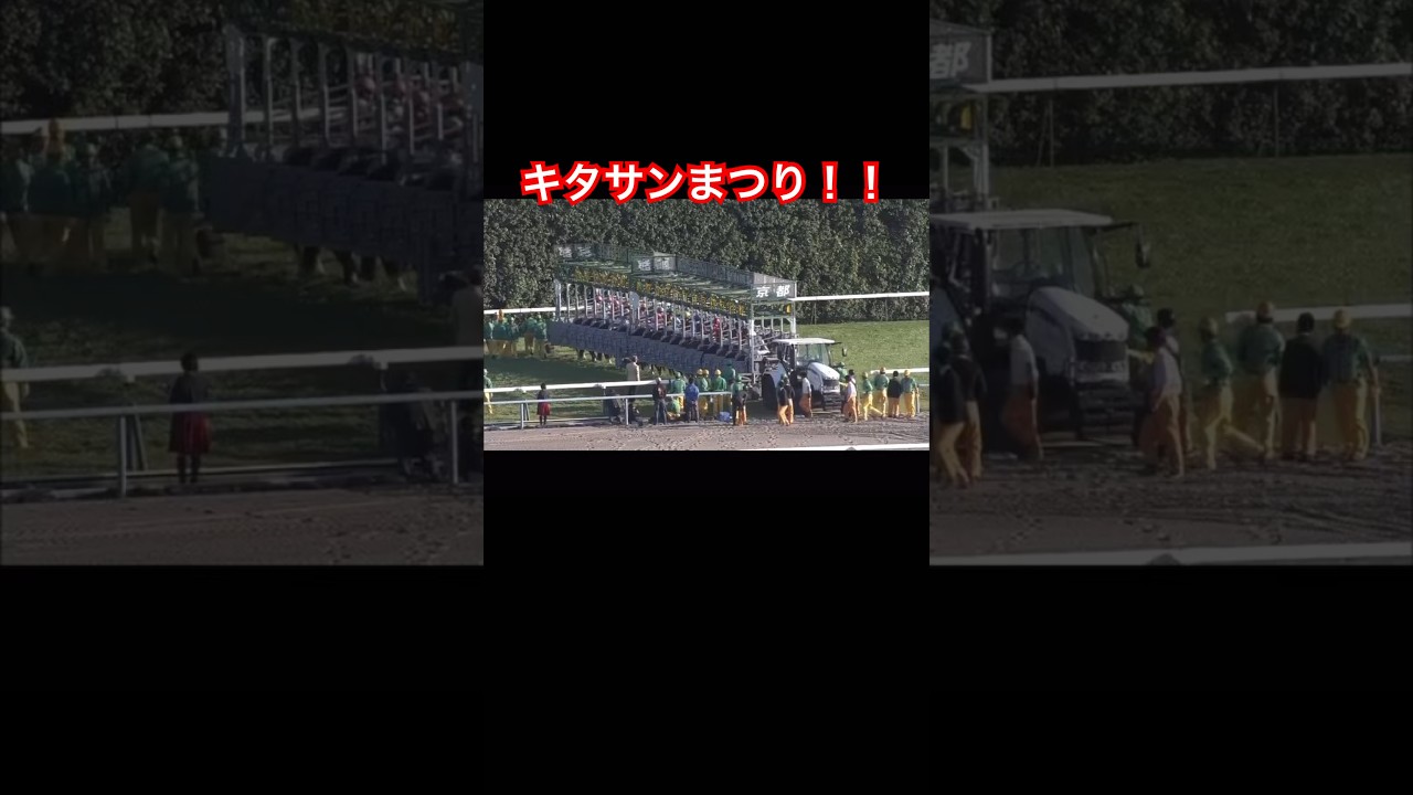 菊花賞は強い馬が勝つ#shorts#菊花賞#キタサンブラック