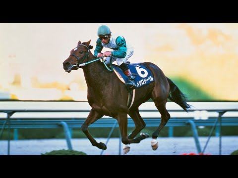 第４３回　オールカマー （ＧⅡ）　メジロドーベル　牝３　55　吉田豊　1997.9.14　　出走馬：ヤシマソブリン、ホウエイコスモス、インターユニーク、バーボンカントリー、アブクマポーロ